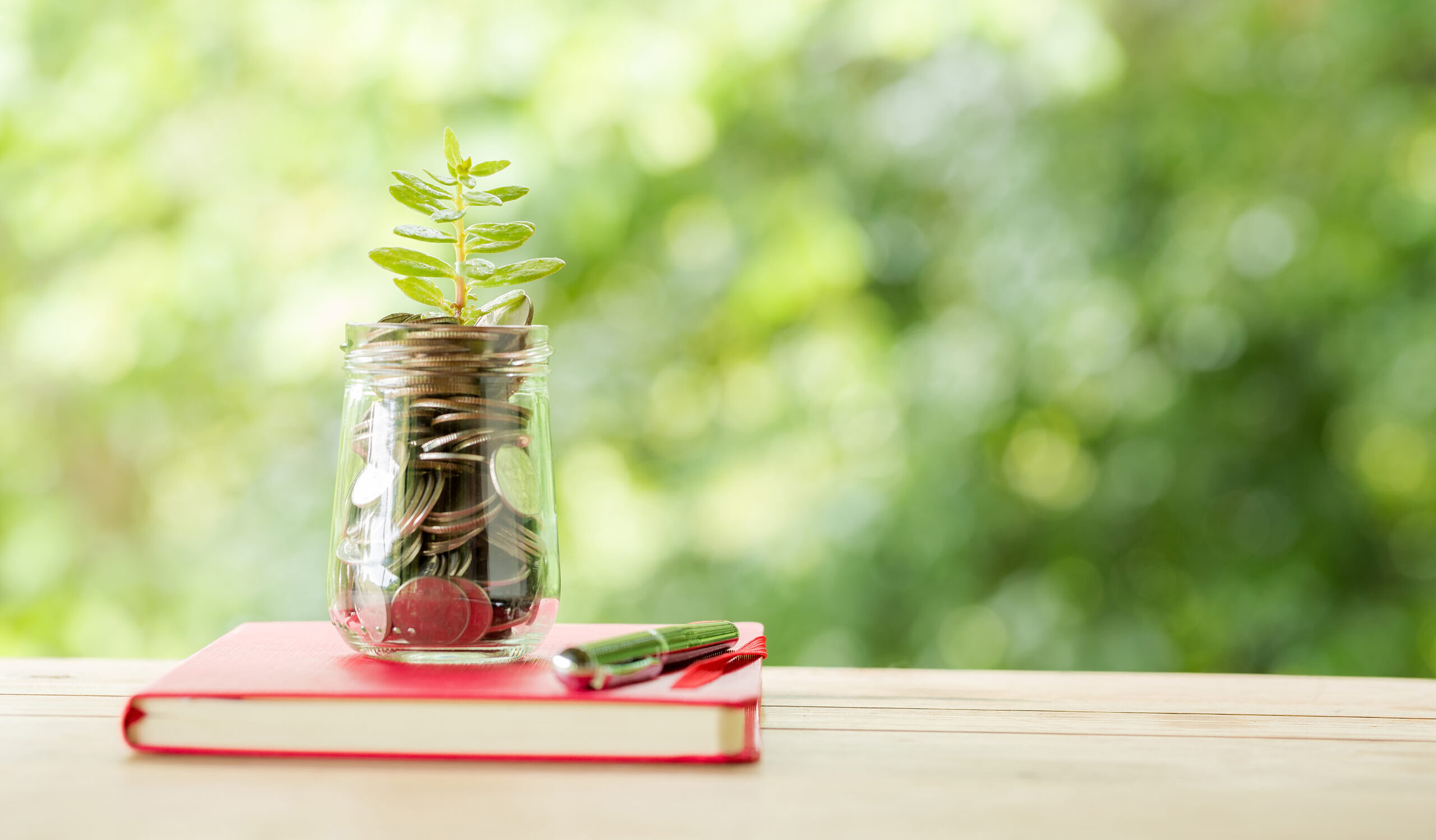Plant Growing In Savings Coins
